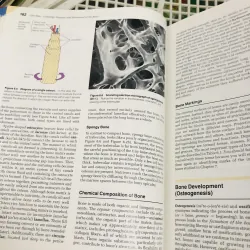 HUMAN ANATOMY AND PHYSIOLOGY – Elaine N. Marieb (Second Edition) 799234