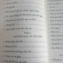 An Lạc Từng Bước Chân 747411