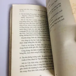 HOA QUẢ MÙA XUÂN VỪA ĐẸP VỪA NGON 693652