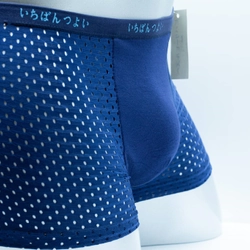Quần sịp nam đùi lưới cotton thông hơi, đai lưng nhỏ, hàng loại 1, Việt Nam làm xuất Nhật 174992