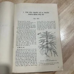 Những cây thuốc và vị thuốc việt nam xb1986 687206