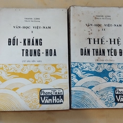 Văn học Việt Nam ( ĐỐI KHÁNG TRUNG HOA, THẾ HỆ DẤN THÂN YÊU ĐỜI)