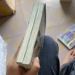 Người lạ dưới gió xuân  711986