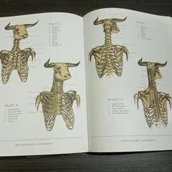 The resurrectionist, sách ngoại văn tiếng Anh, english book  731775