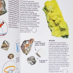 Usborne Spotter's Guides: Rocks & Minerals 195153