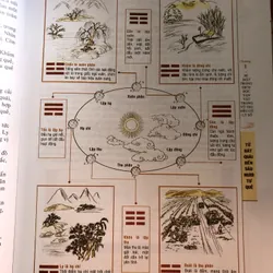 Mai hoa dịch số 719447