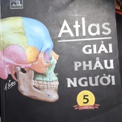 atlas giải phẫu người