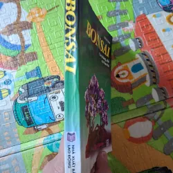 Bonsai - Cây dáng, thế và Non bộ 933891