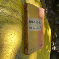 ĐỒNG ÂM DẪN GIẢI VÀ MẸO LUẬT CHÍNH TẢ- TRẦN VĂN THANH 713223