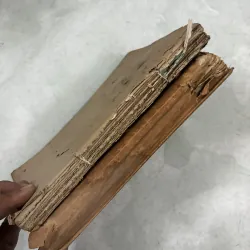 Người tình tuyệt vời (Bộ 2 tập) 1030851