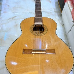 Đàn guitar Classic 6784