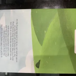 Combo 3 sách Mèo Maverick: Ở lại thành phố hay về quê? 992243