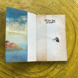 PETER PAN ÁO CHOÀNG ĐỎ- GERALDINE MCCAUGHREAN 702142