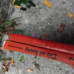 Đất vỡ hoang của Mikhail Solokhov 1031382