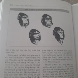 Nền tảng Tâm Lý Học. Nicky Hayes. Nguyên tác Foudations of Psychology.  605062