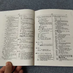 ĐẠI NAM QUỐC ÂM TỰ VỊ 729315