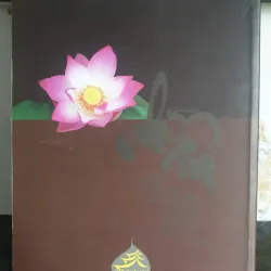 Sách Ẩn Quang Pháp Sư Văn Sao Tinh Hoa Lục Như Hòa chuyển ngữ 674319