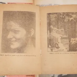 Tác phẩm văn học kinh điển: BỐ GIÀ (Mario Puzo) 993785