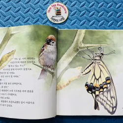 관찰동화 Truyện quan sát quan sát thiên nhiên 784617