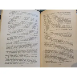 Kate - Sulitzer 689168