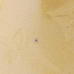 Túi Louis Vuitton Vernis Wilshire PM M91643 - Hàng hiệu Chính hãng 803984