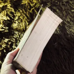 Tuyển tập truyện ngắn Guy De Maupassant 1020159