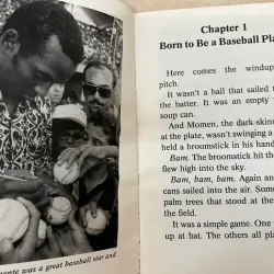 Roberto Clemente- We'll never forget you 753370