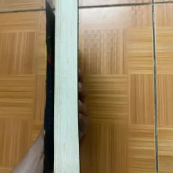 Kẻ nhắc tuồng 701086