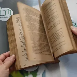 [XƯA] Còn Hơn Tội Lỗi (1991) - Barney Leason 776056