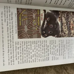 Mô học, sách y, khổ lớn 240 trang  791883