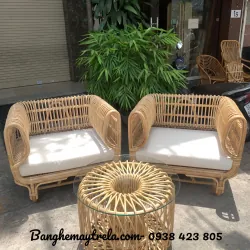 Bộ bàn ghế sofa đơn mây 696615
