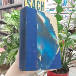 MÙA GẶT - XƯƠNG LÂM, TRANG ĐỨC CƠ 778518