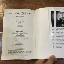 Nguyên lý Kim tự tháp Minto (8) 315804