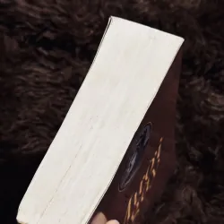 Mười ngày (Văn học kinh điển)  784741