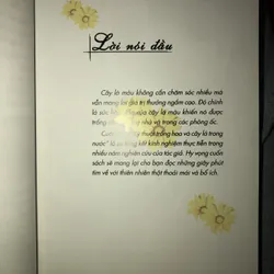 Kỹ thuật trồng hoa và cây lá trong nước 722961