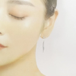 Bông tai kim cương 2WAY PT950/PT900 0.20CT - Hàng hiệu Chính hãng 870850