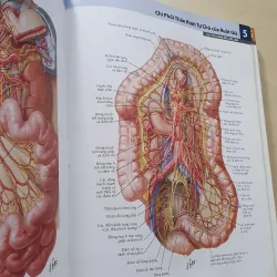ATLAS 7 GIẢI PHẪU  1008119