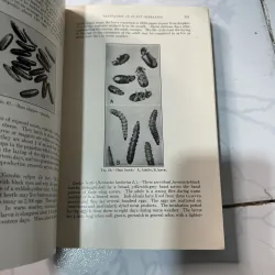 Kiểm tra xử lý và chế biến thịt 1008222