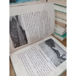 Rivers - Irving, Ruth Adler 1031939