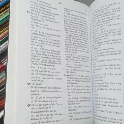 Từ Điển Hán - Việt - Đào Duy Anh  956985