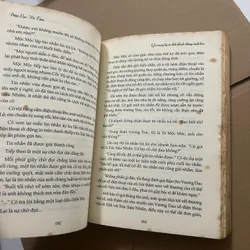 Gió mang ký ức thổi thành những cánh hoa 562981