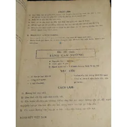 Bánh mứt việt nam - Hoa Hường 727097