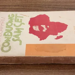 CON ĐƯỜNG SẤM SÉT (The path of thunder) - Tác giả: Peter Abrahams 705078