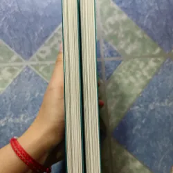 Clover - Clamp 1004684