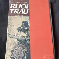 Tiểu Thuyết Ruồi Trâu-Ê-TEN LI-LI-AN VÔI-NÍT-SƠ 1025942
