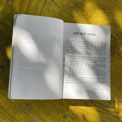 TỪ ĐÚNG & TỪ SAI RIGHT WORD WRONG- THY HẢI 696129