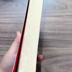 The Switch - Beth O'leary (Preloved book) 722857