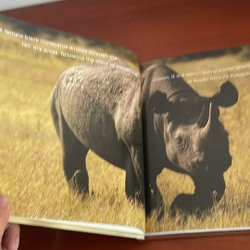 PICTURE BOOK Rhinoceroses 536039