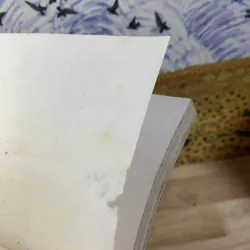 Cuộc Phiêu Lưu Về Miền Nam - Jack London 754772