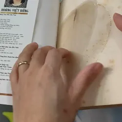 Tiêu Gì Cho Thời Gian Để Sống - Hoàng Việt Hằng 727247